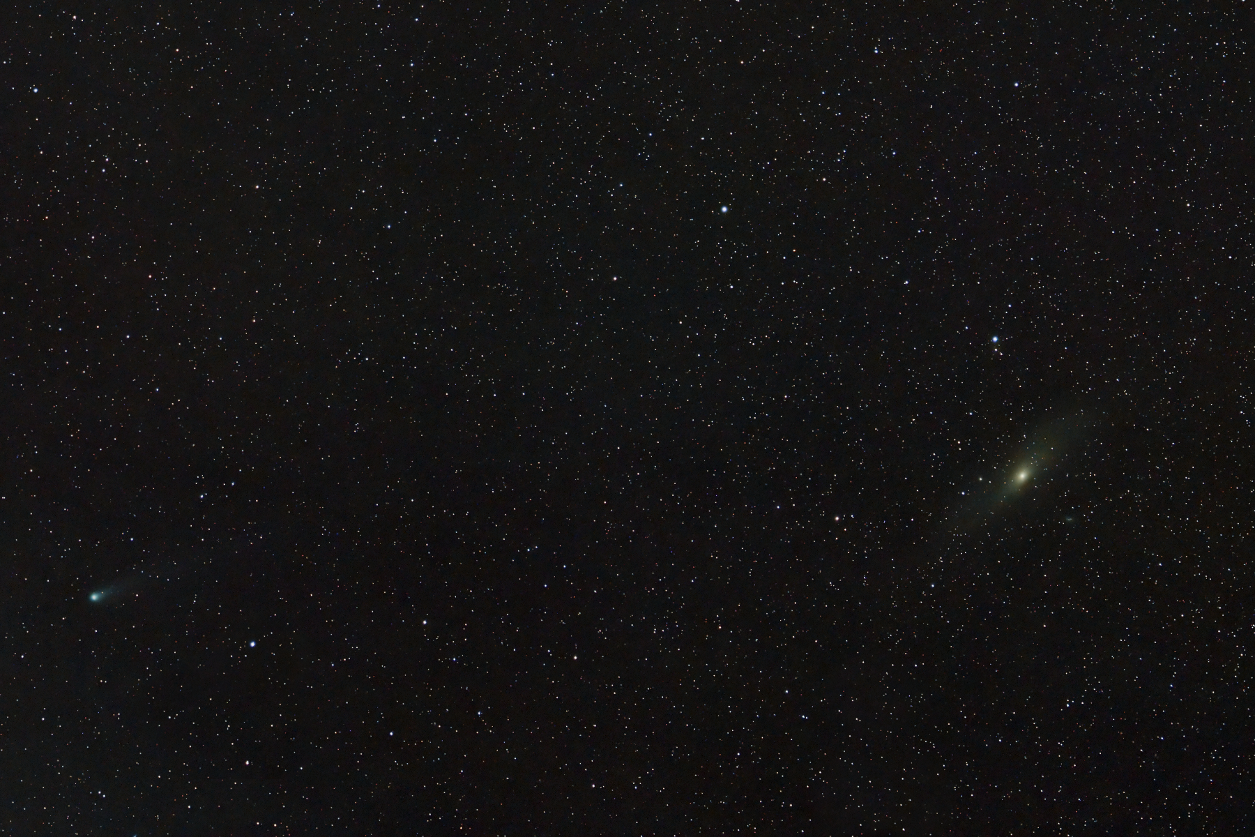 Comet 12P