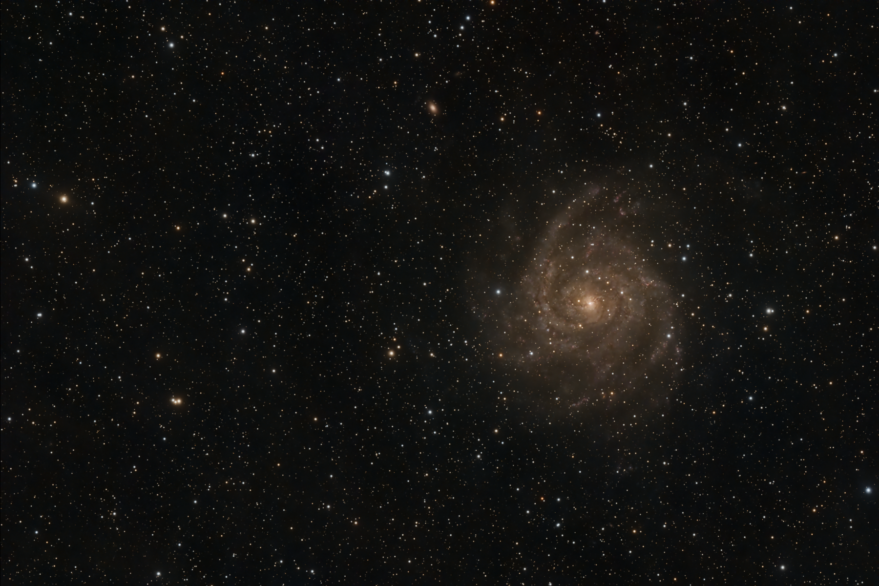 IC 342, The Hidden Galaxy