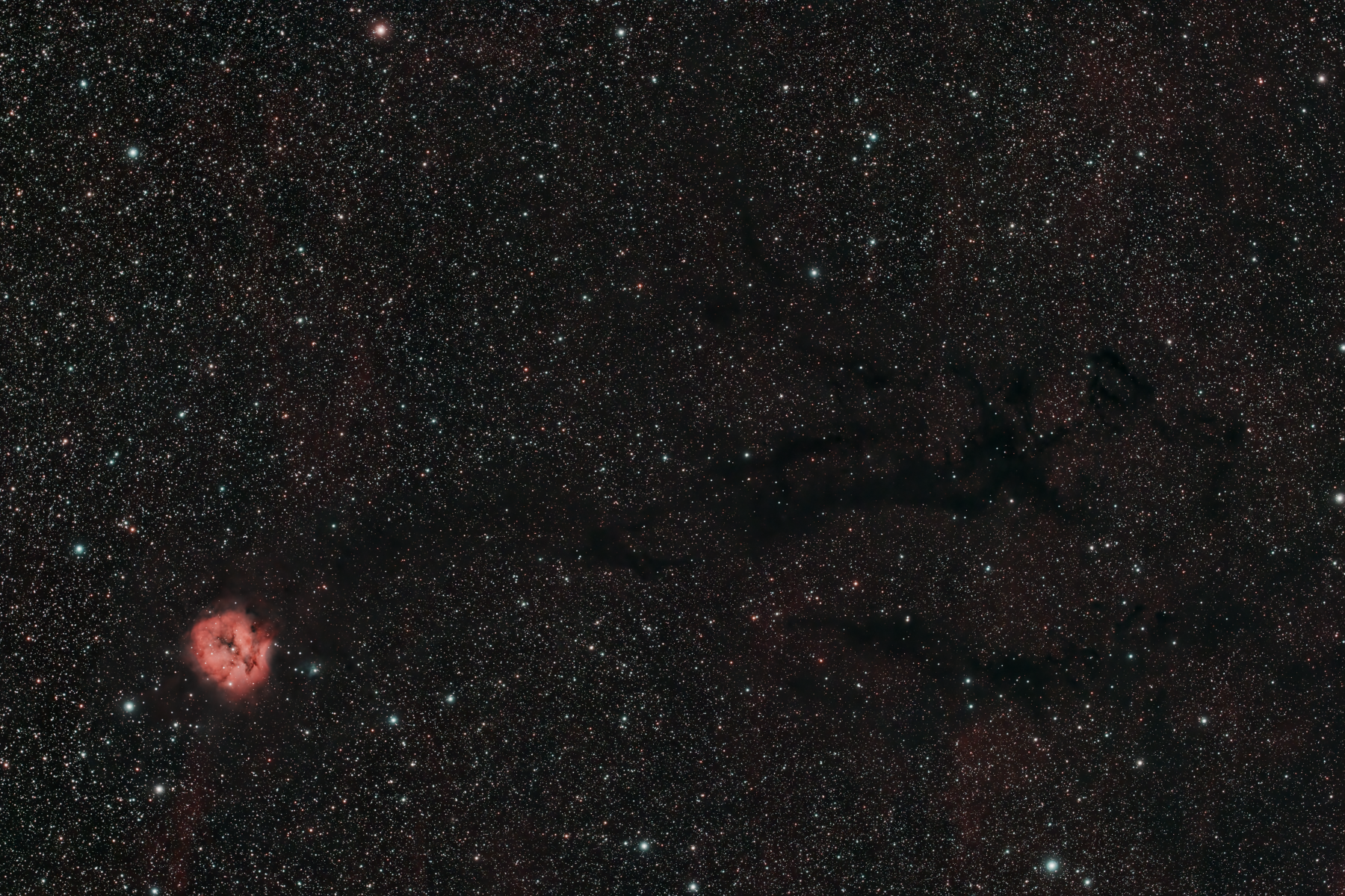 IC 5146, The Cocoon Nebula