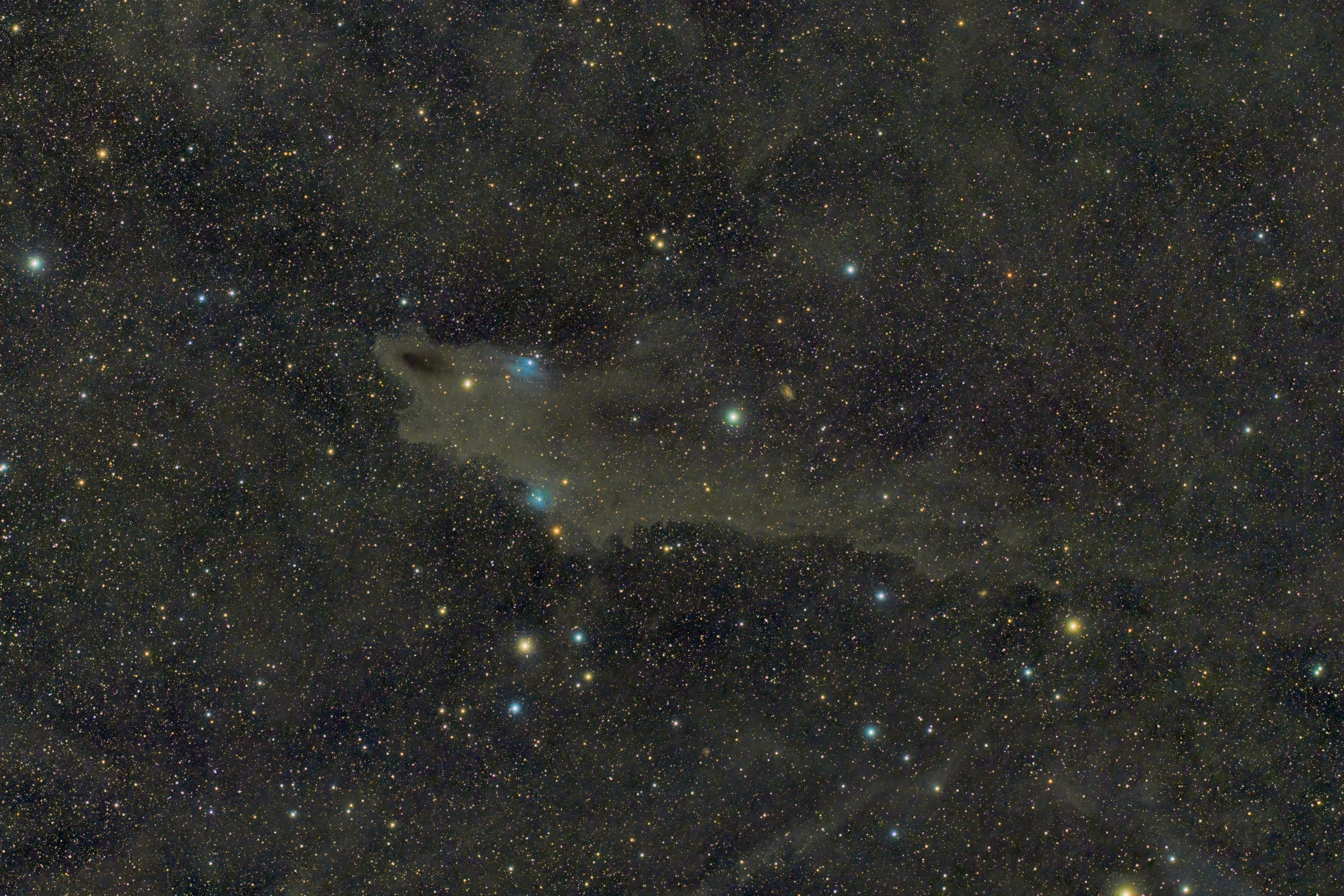 LBN 535, The Dark Shark Nebula