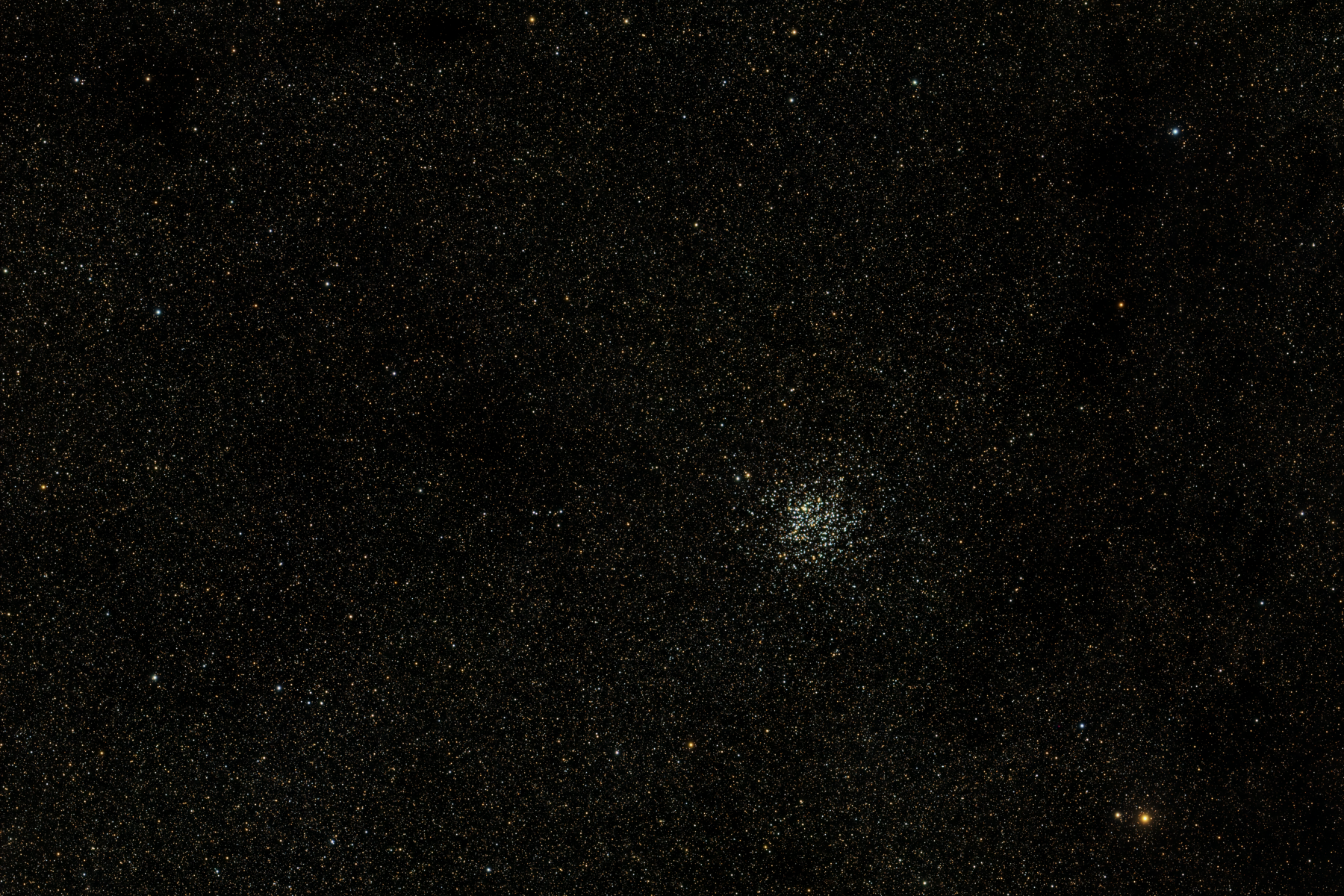 The Wild Duck Cluster