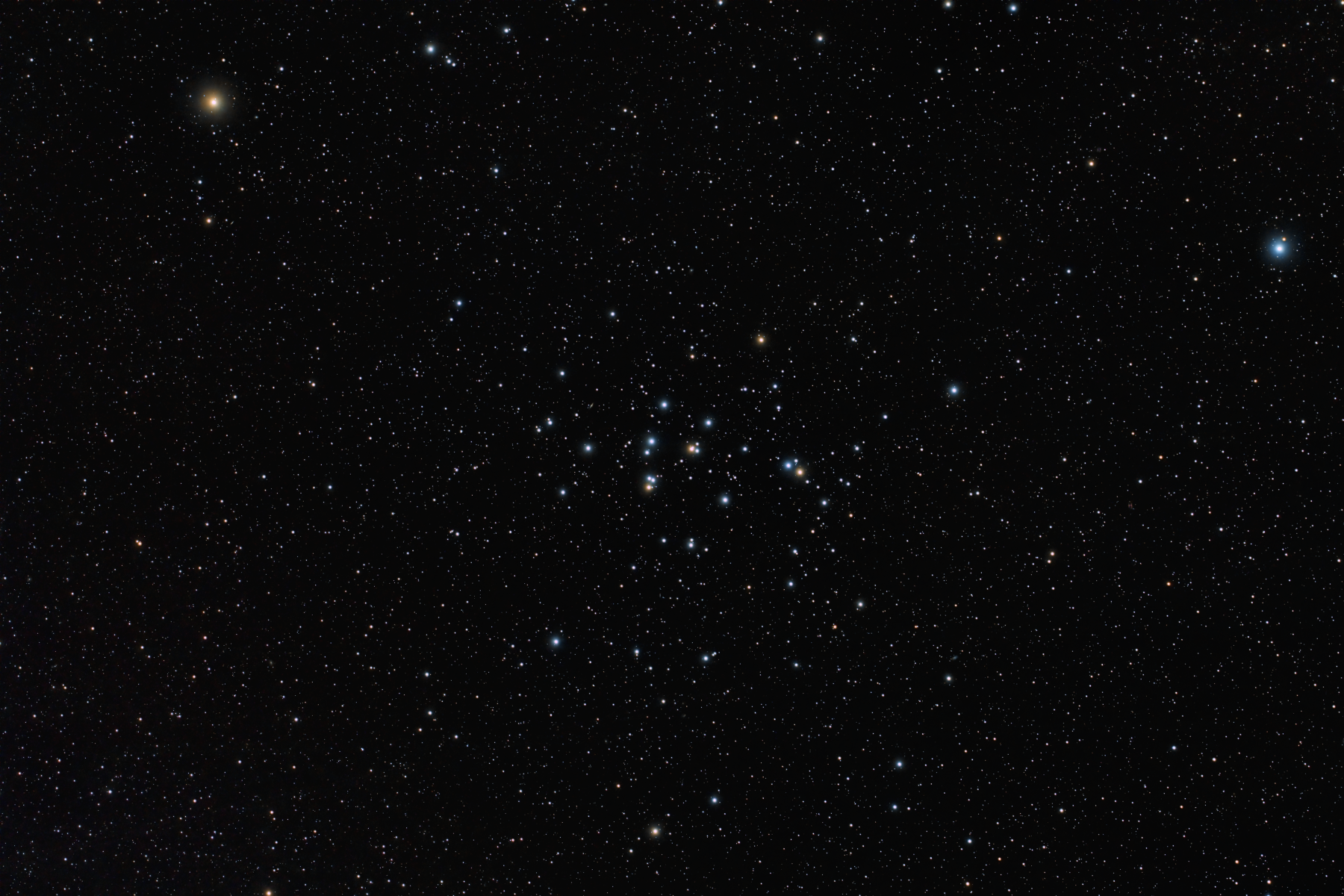 M44, The Beehive Cluster