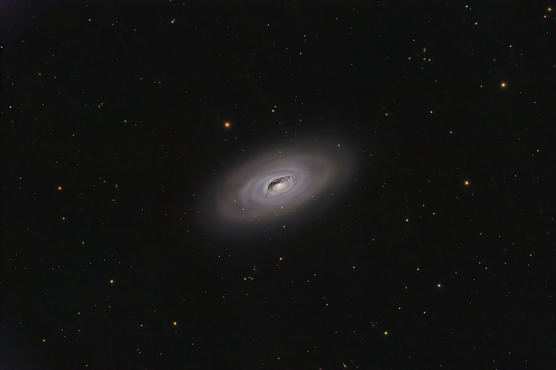 M64