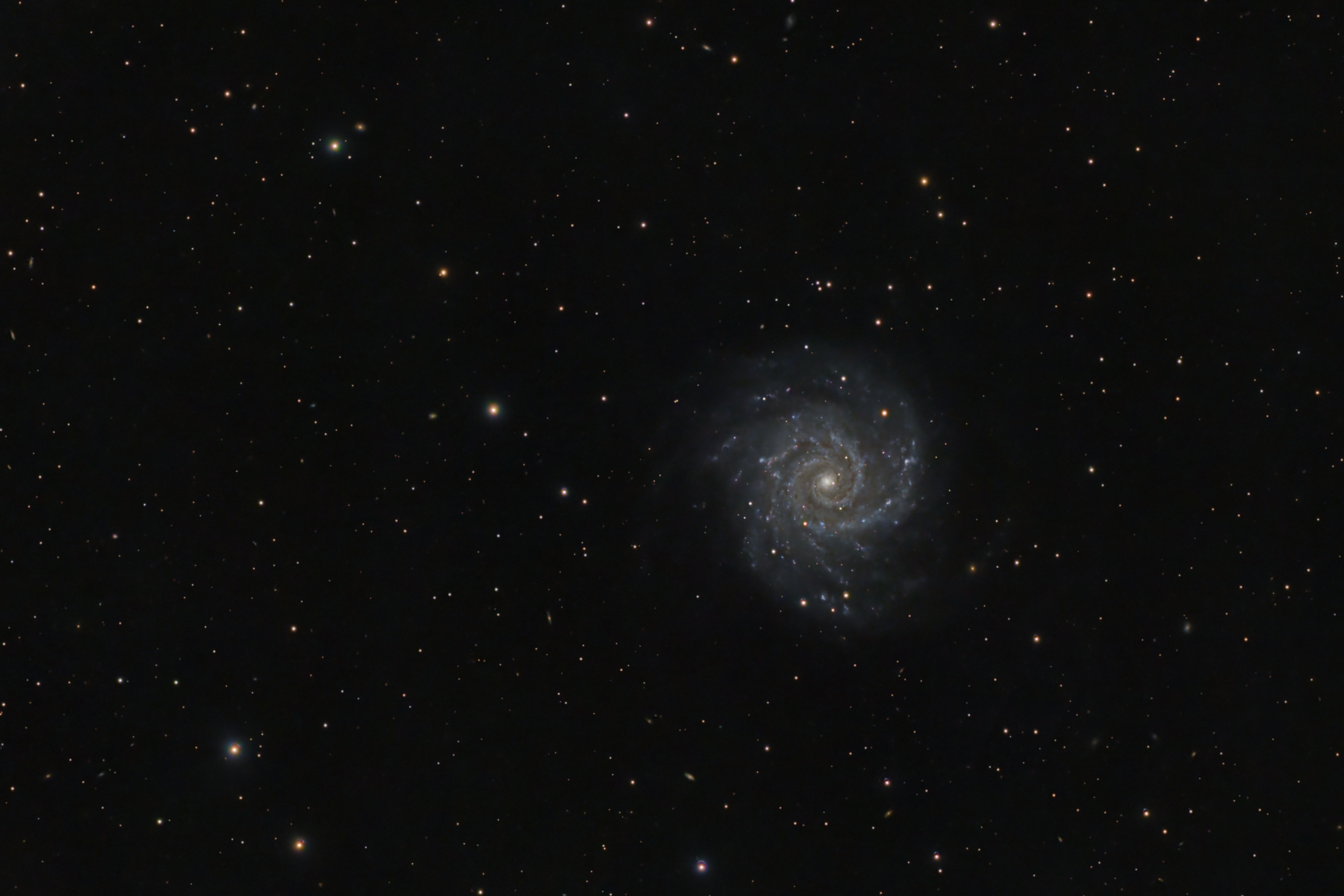 M74