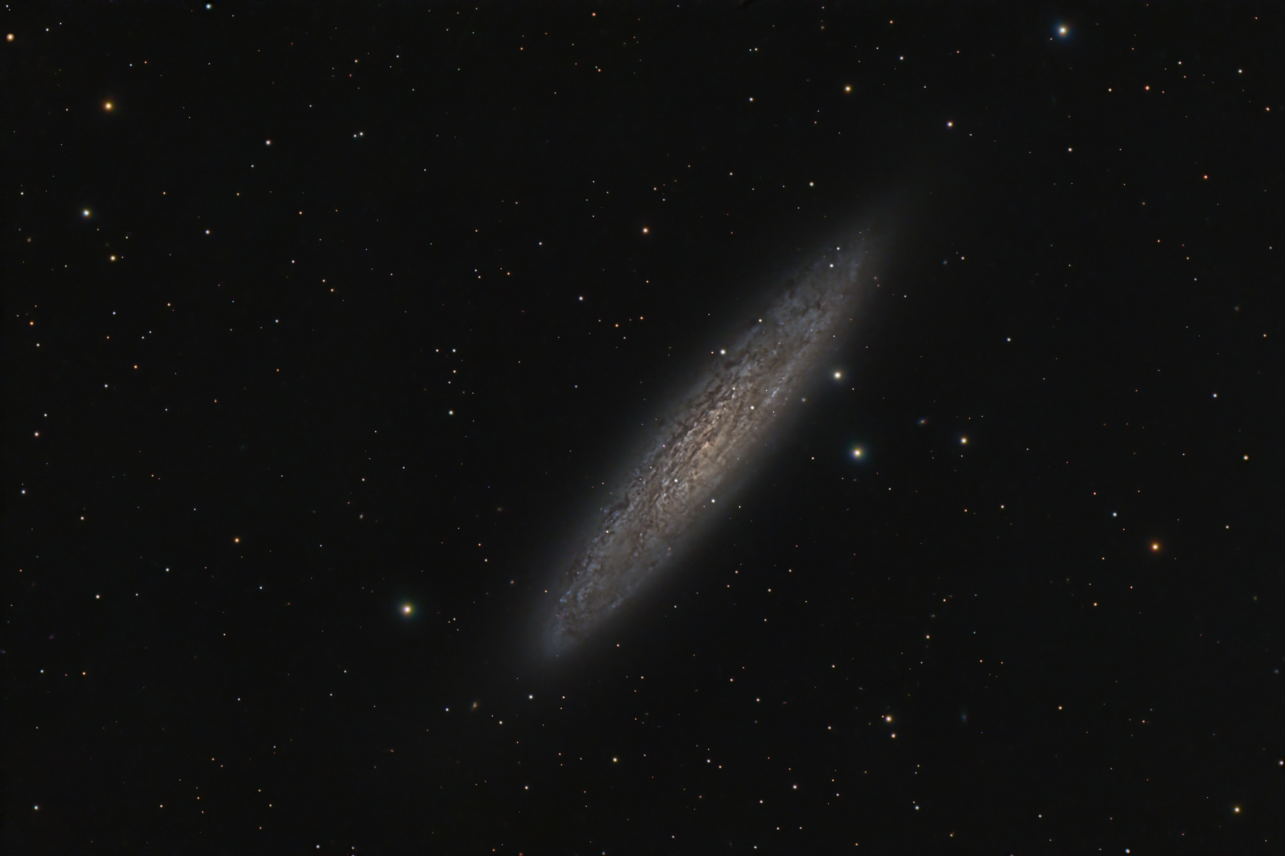 NGC 253