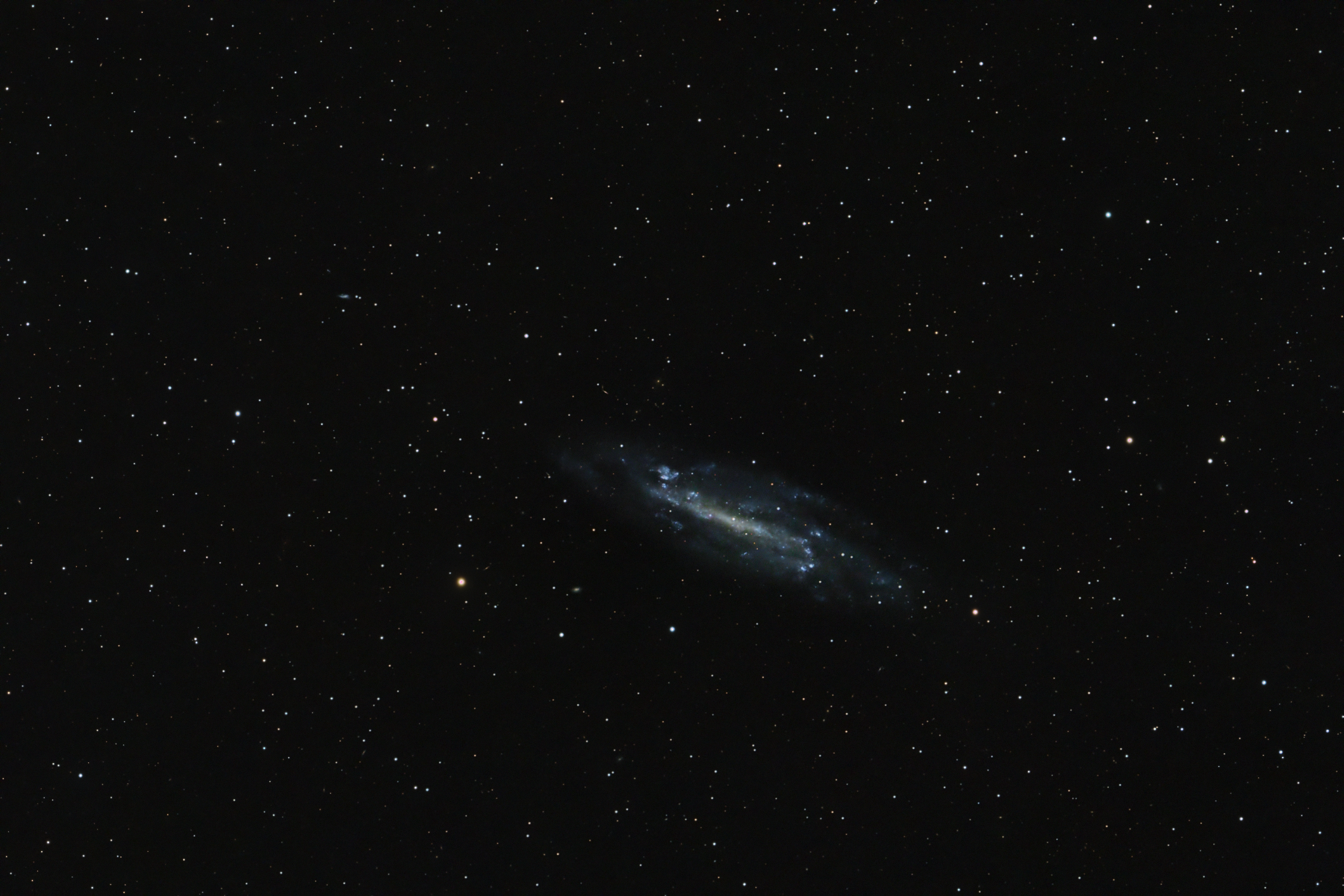 NGC 4236 in Draco