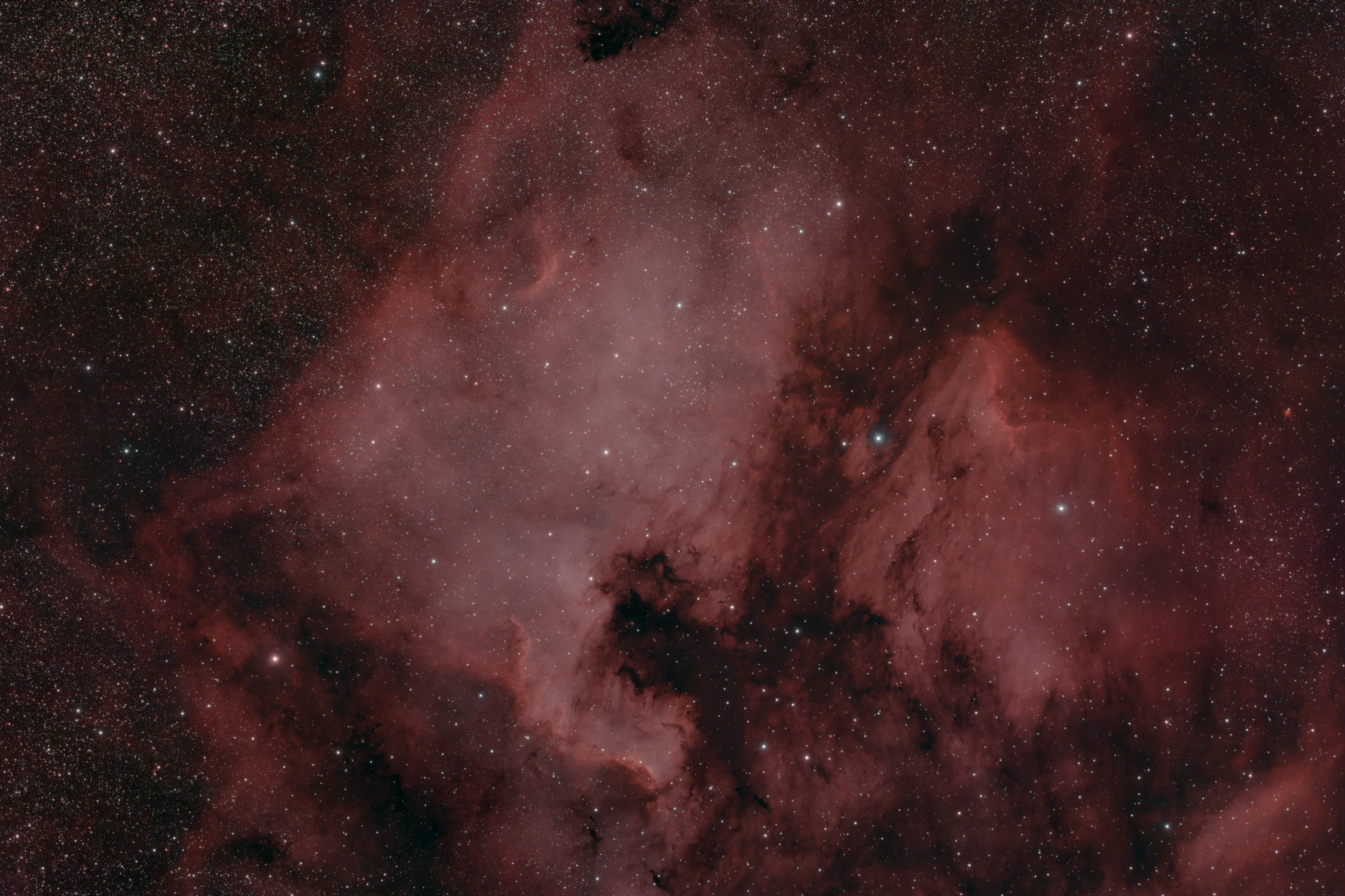 NGC 7000