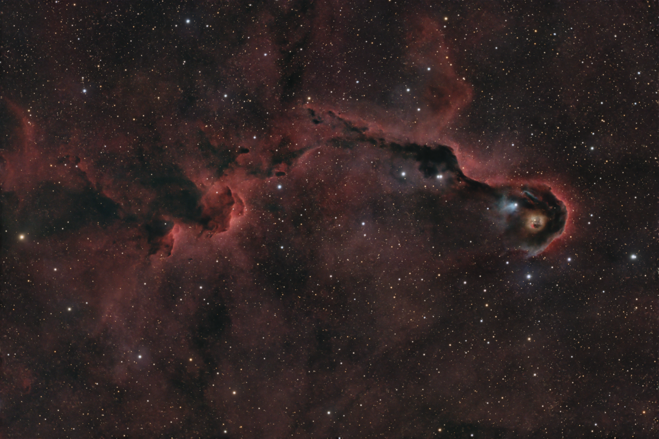 IC 1396A