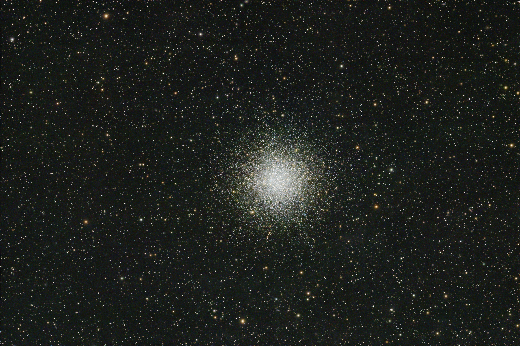 M55