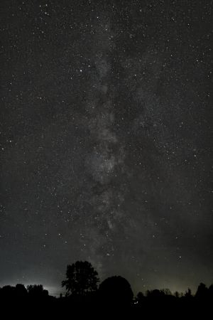 The Milky Way